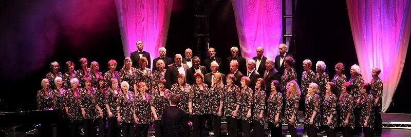 TLSchoir's profile banner image