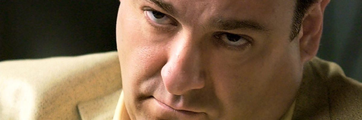 shepidy's profile banner image