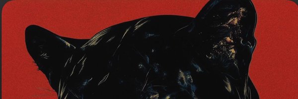 twitch4eva Profile Banner