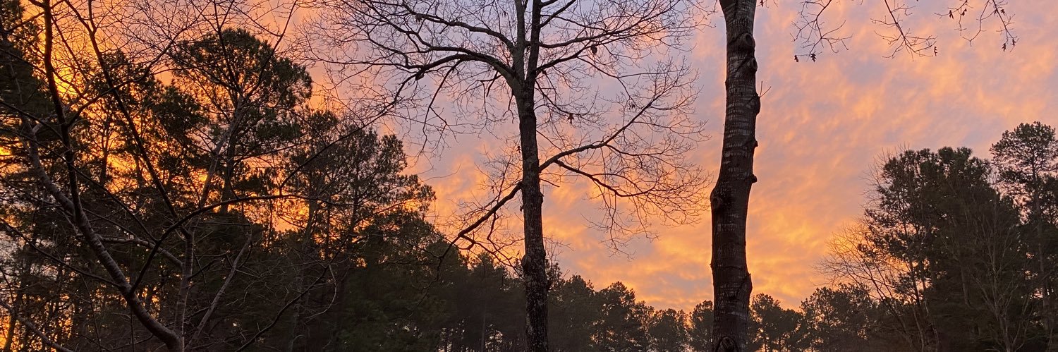 Matthew Kappus banner