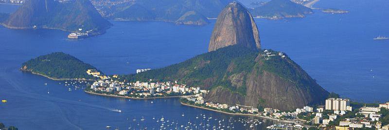 Flor National Party banner