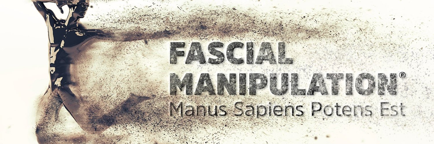 Fascial Manipulation (@FasciaStecco) / Posts / X