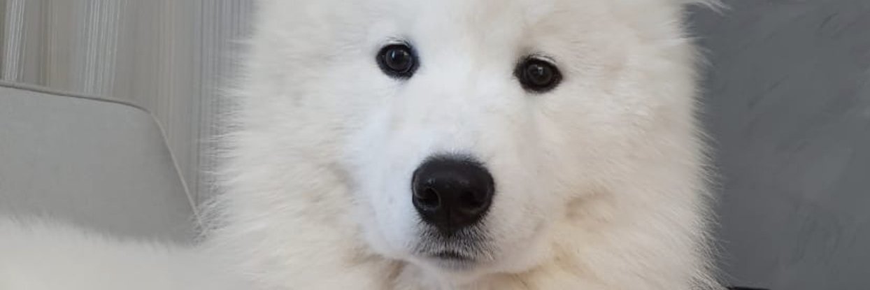 turiassu_'s profile banner image