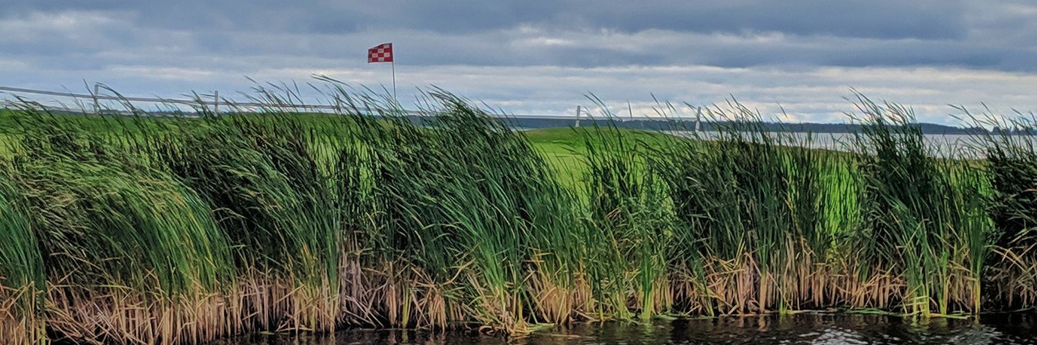 Qbitgolf's profile banner image