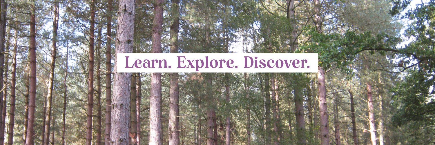 BishopsWoodCent's profile banner image
