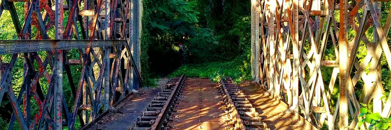 Vicenç Rodríguez banner