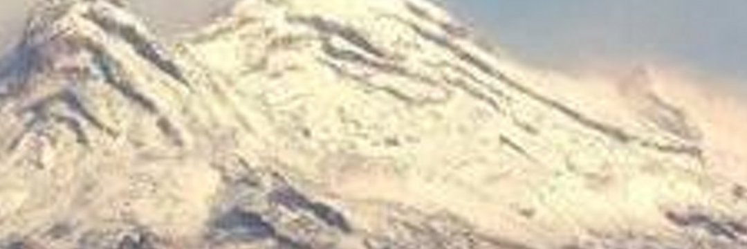 SoniaDF's profile banner image