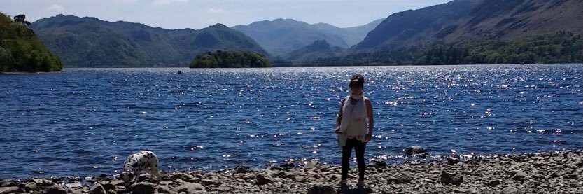 Jan__Davidson's profile banner image