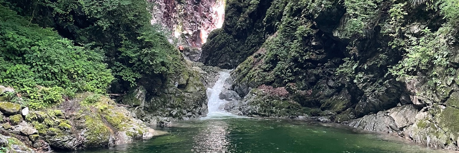 崔真淑/Masumi Sai, PhD(Finance) banner