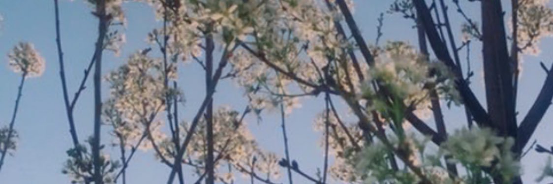 Imakeushit's profile banner image