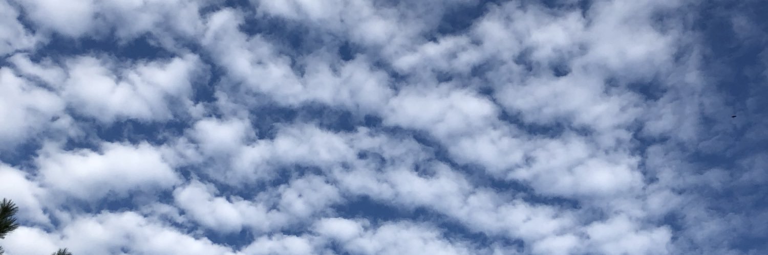 nokk0 banner
