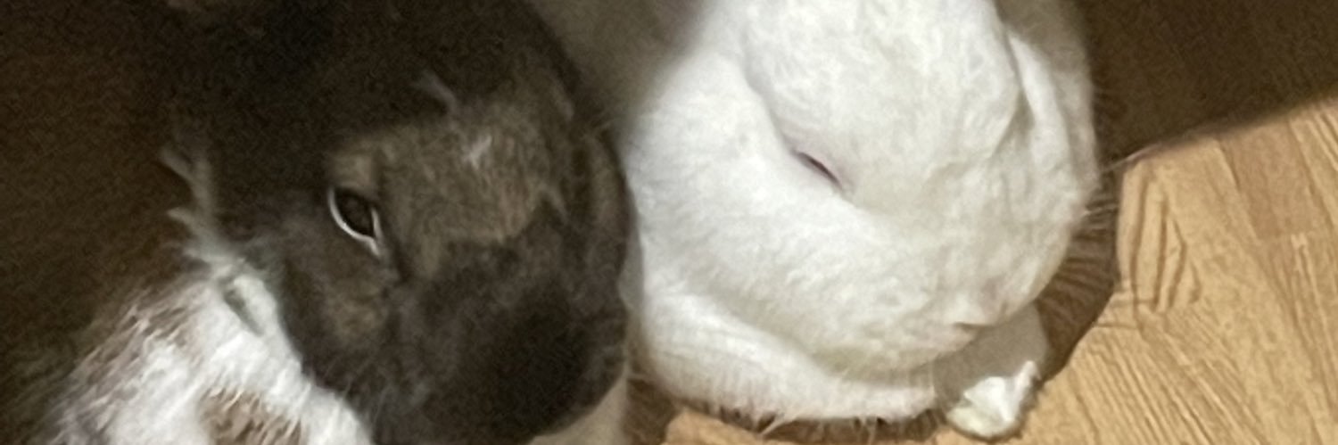 chrisxbun's profile banner image