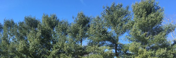 marinklink Profile Banner