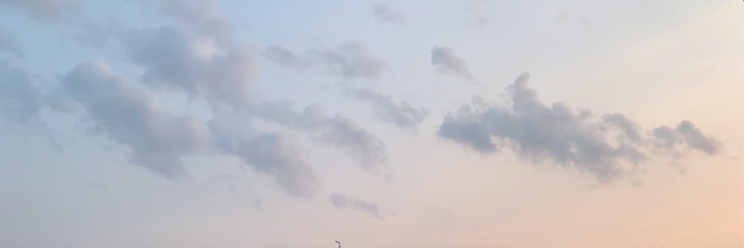 stefism's profile banner image