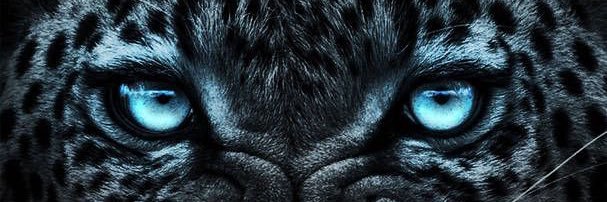 Ali banner