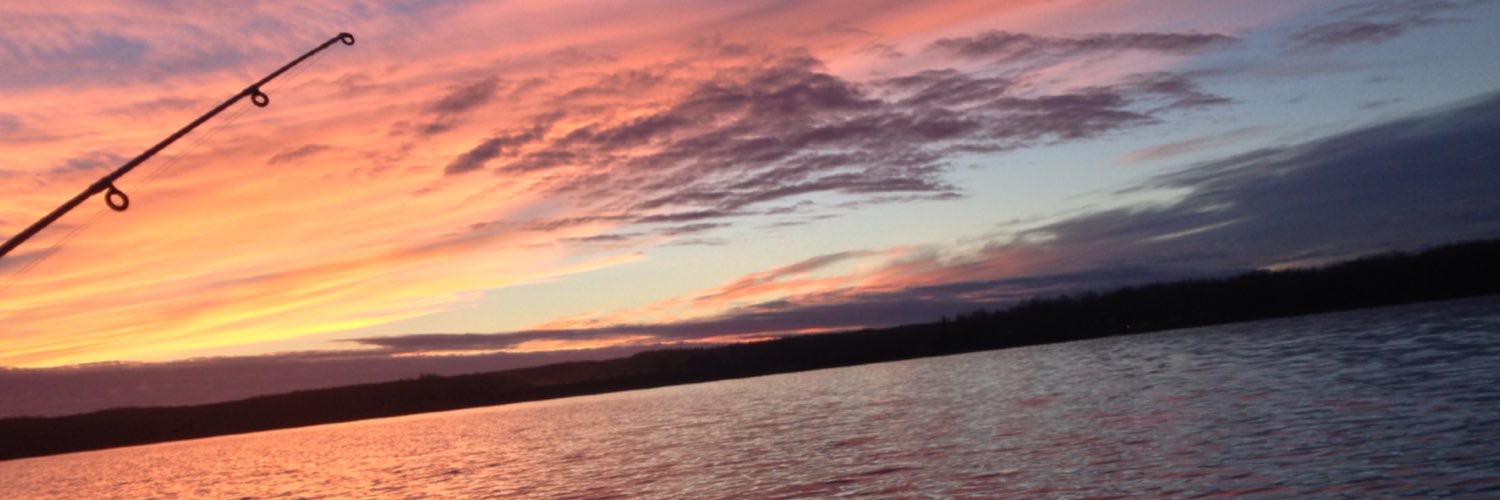 barney_bud's profile banner image