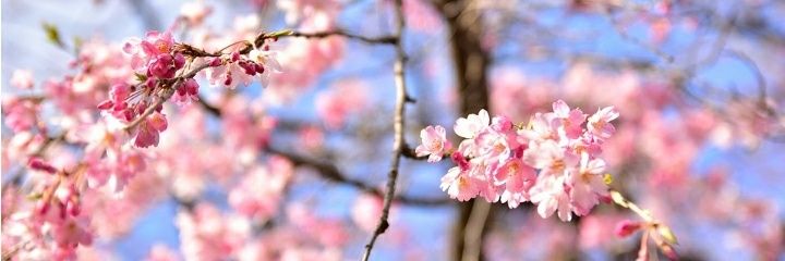 MeUmaad's profile banner image