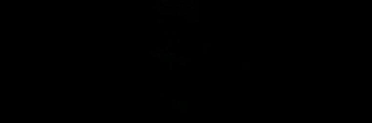 ReeaFox's profile banner image