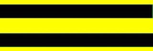 Burnham_BEES's profile banner image