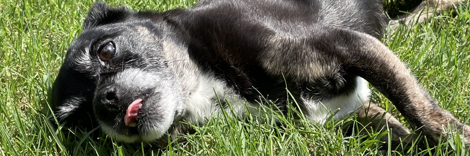 Sherri Vardeman 💬 banner