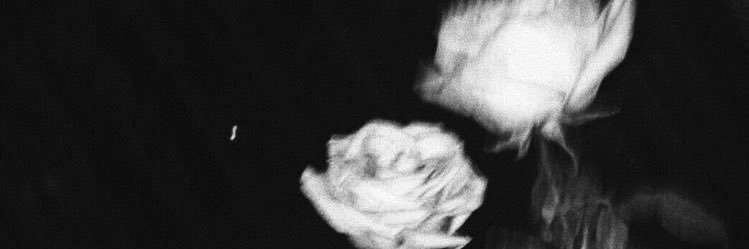 ILYSSA. banner