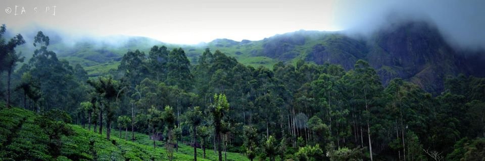 anmolksharma's profile banner image