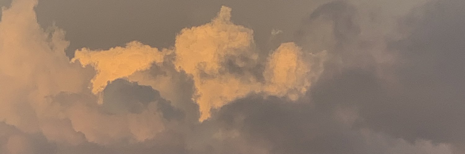 wxysze's profile banner image