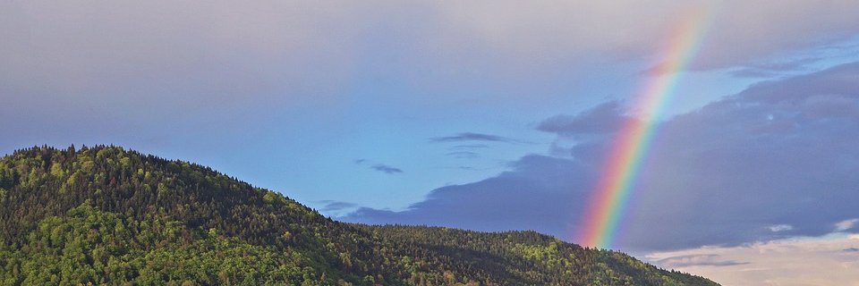 Dalka (checkmark) banner