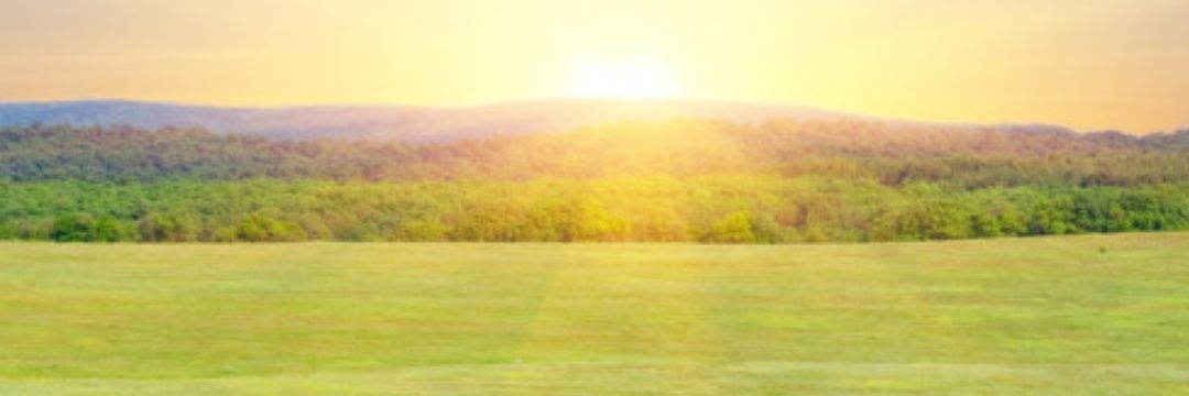 ConsueloGarca2's profile banner image