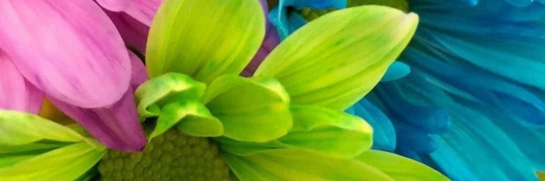 FamousAmy8's profile banner image