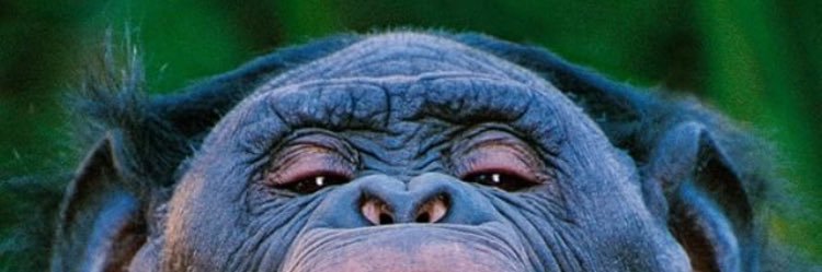 hamidkashani82's profile banner image