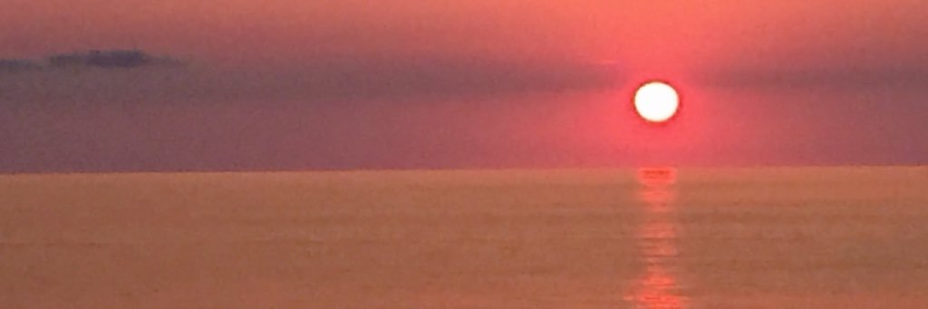 Bea banner
