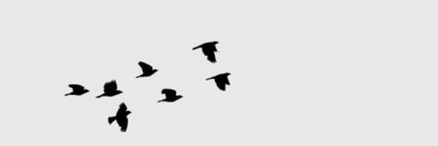 dlloll99Ma's profile banner image