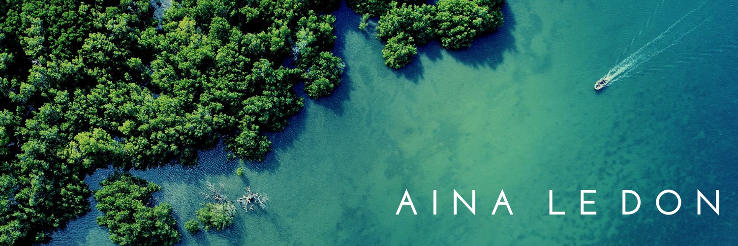 aina_don's profile banner image