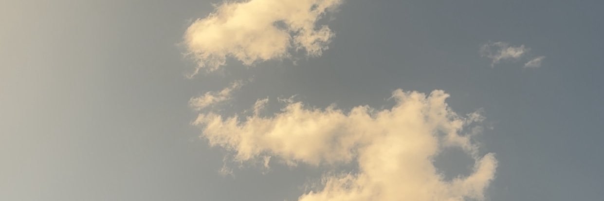 fd_nora's profile banner image