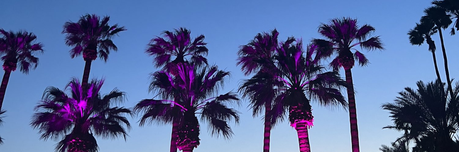 FridaCamberos's profile banner image