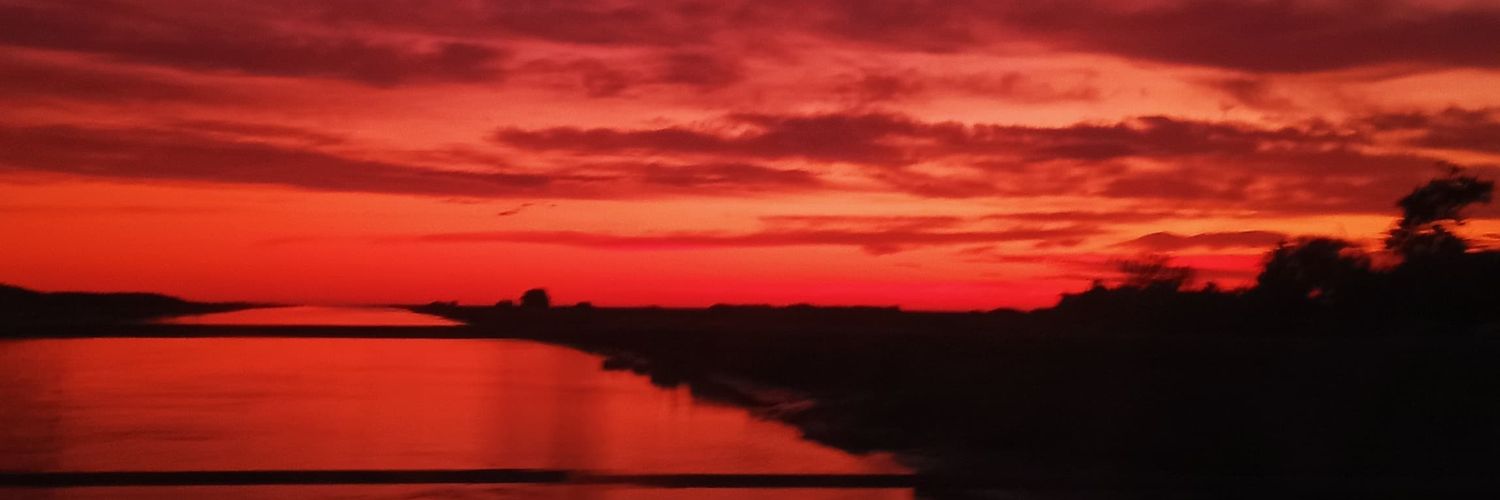 flogonzalee's profile banner image