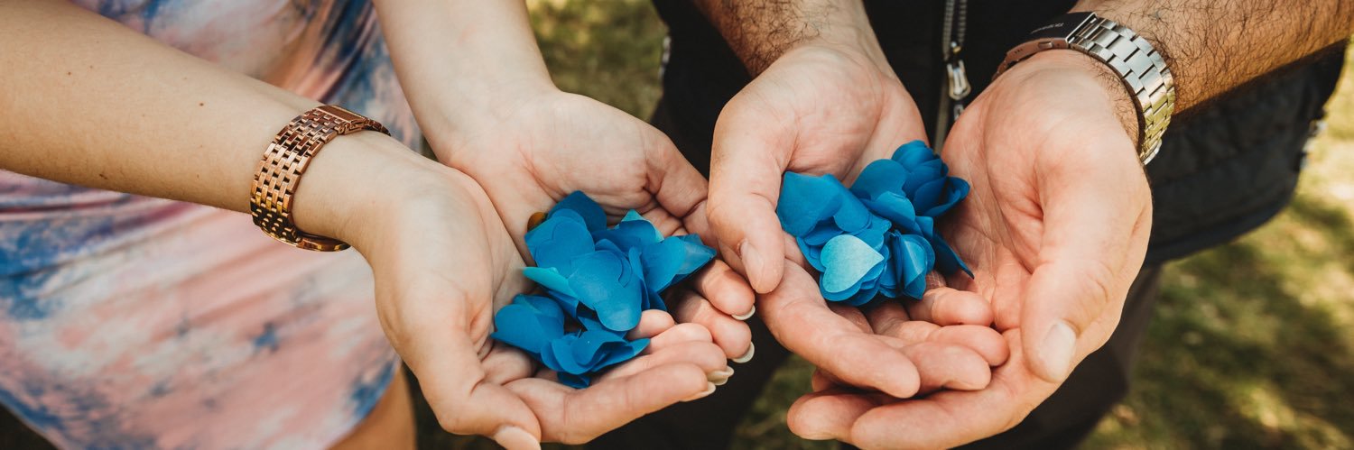 Mrs. Petmezas banner