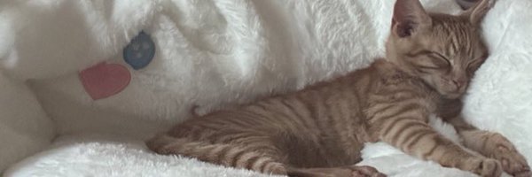 rellierae Profile Banner