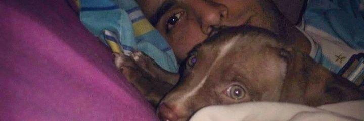 ChamuCaseros's profile banner image