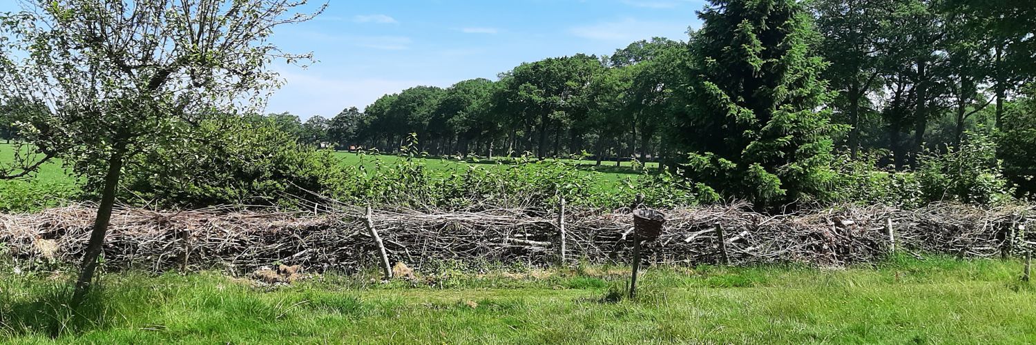GerardvanWijk1's profile banner image