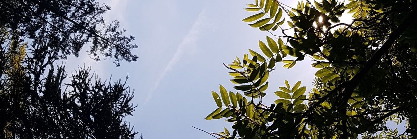 Heathclinger's profile banner image