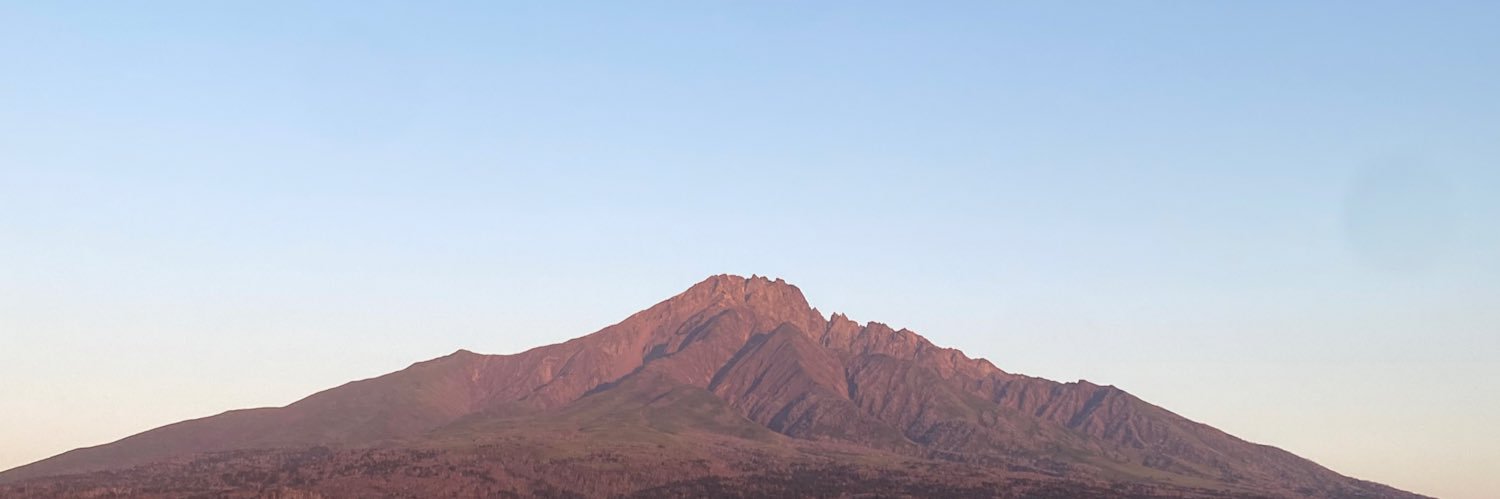 devifujin's profile banner image
