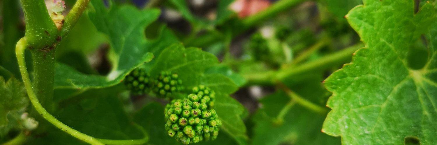 MattHydes's profile banner image
