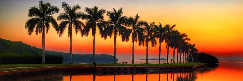 SteveAronoff's profile banner image