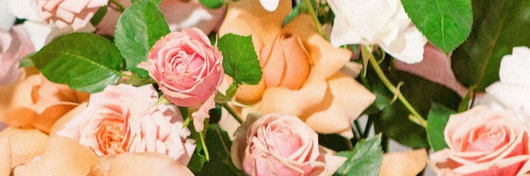 _bri_mo's profile banner image