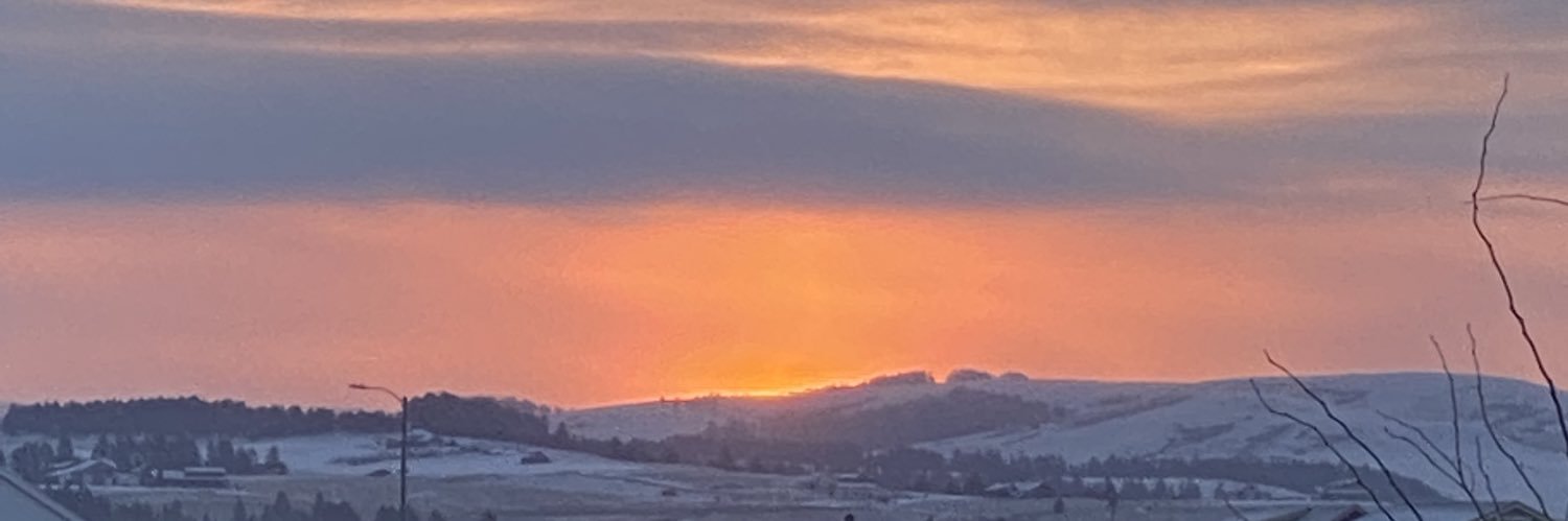 Grizchick9378's profile banner image