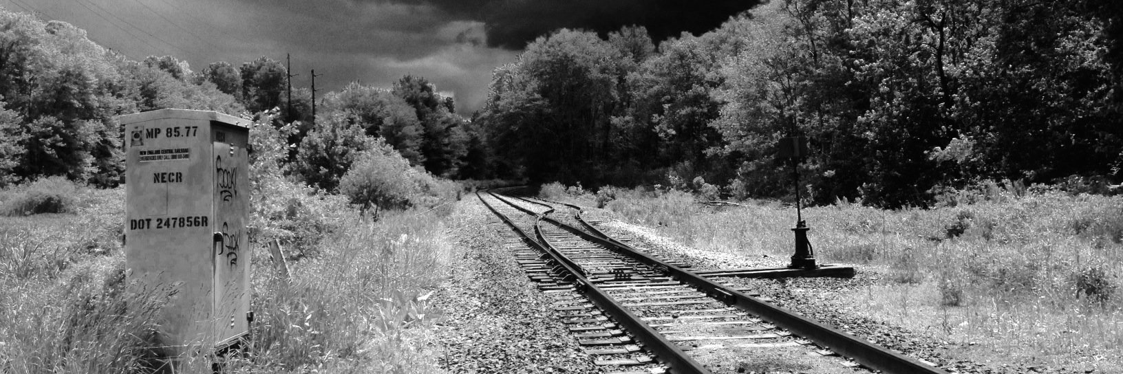 TonyLechner's profile banner image