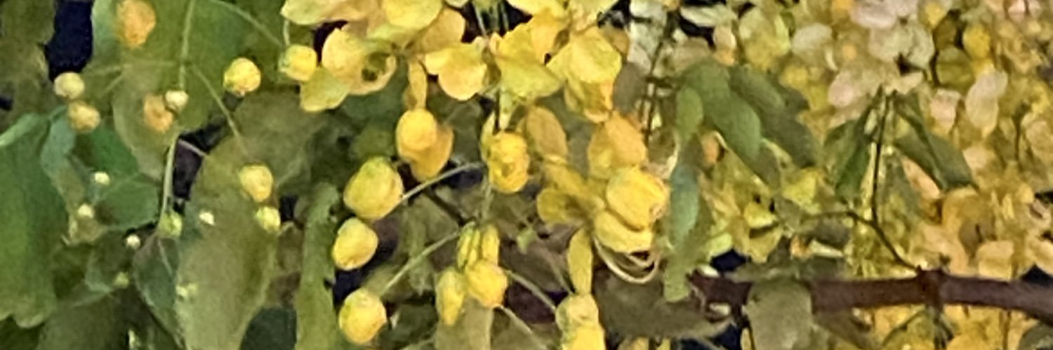 Shubashree Desikan | சுபா banner