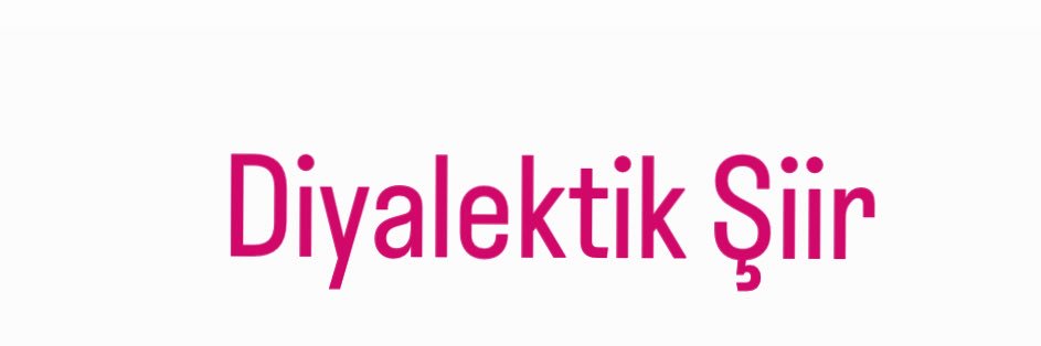 Burak Ş. Çelik banner